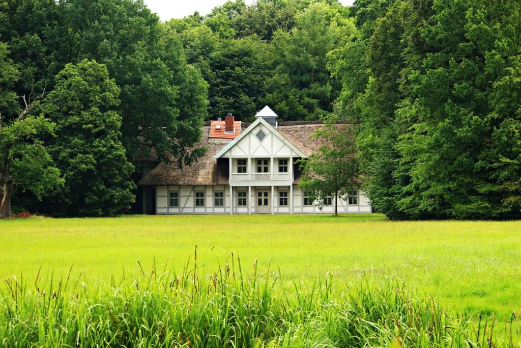 Real-Estate Wooden House Surrounded With Trees