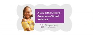 Fane - Bookkeeper - Greymouse