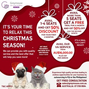 Greymouse-Christmas-promo